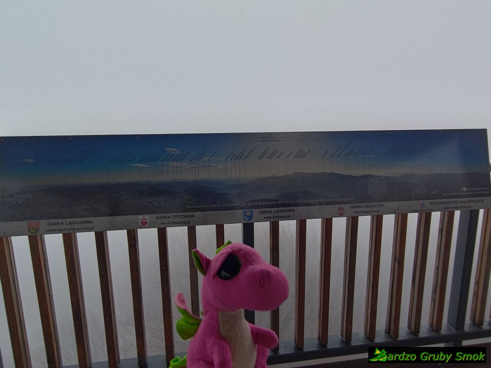 mgła na wieży widokowej na Kamionnej