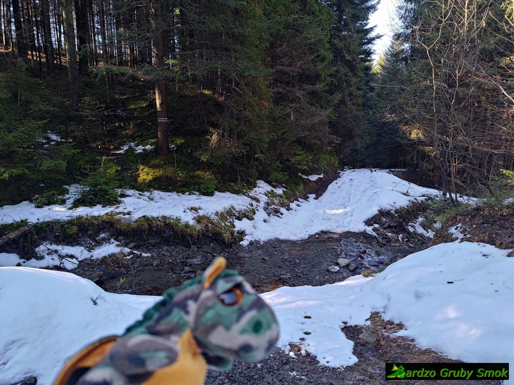 przejście przez rzeczkę