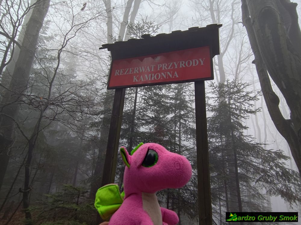 rezerwat przyrody Kamionna