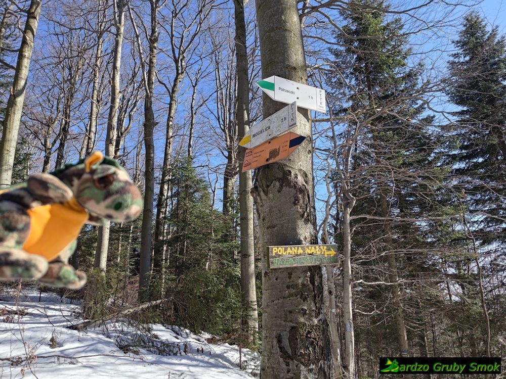 skrzyżowanie szlaków zielonego i żółtego