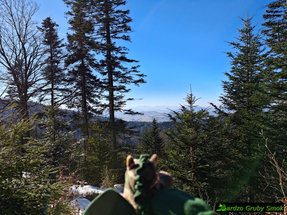 widok na Babią Górę