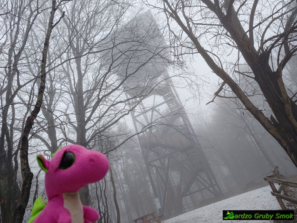 wieża widokowa na Kamionnej