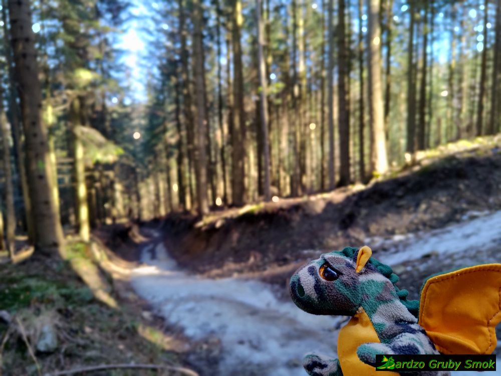 zielony szlak z Półrzeczek