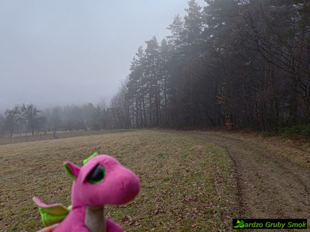 zielony szlak z Żegociny