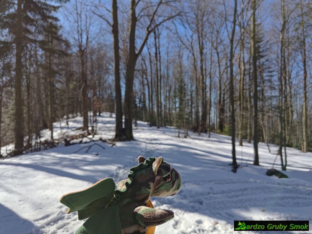 żółty szlak na Kutrzycę