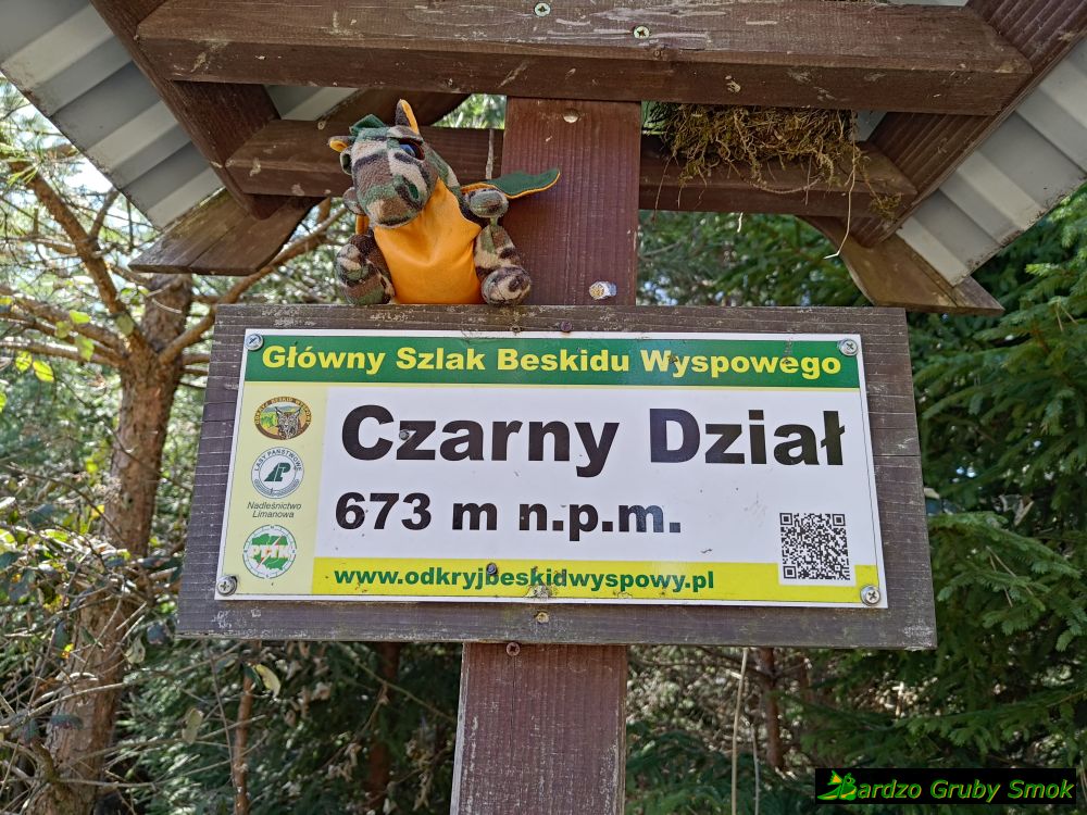 Czarny Dział