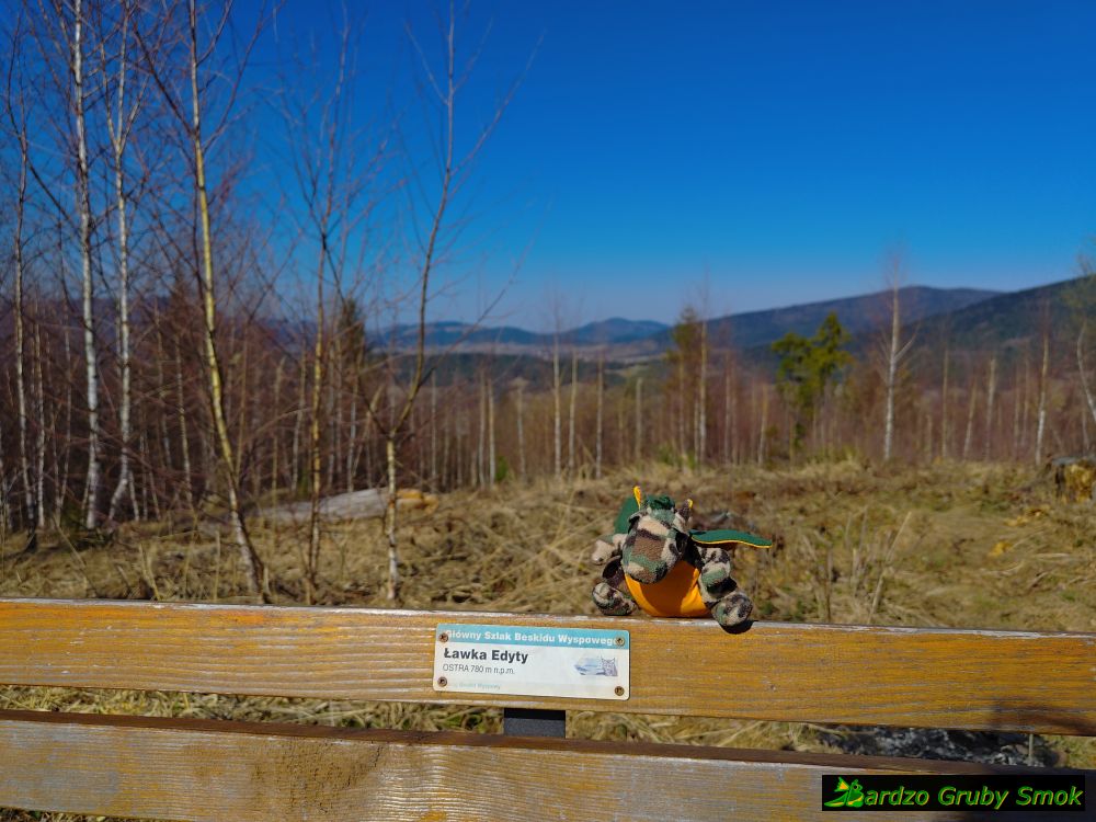 Ostra - ławka Edyty