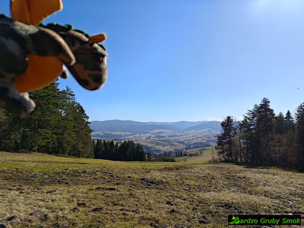 widok na zielonym szlaku