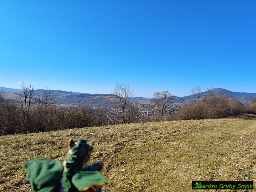 widok z Grunwaldu na Luboń Wielki