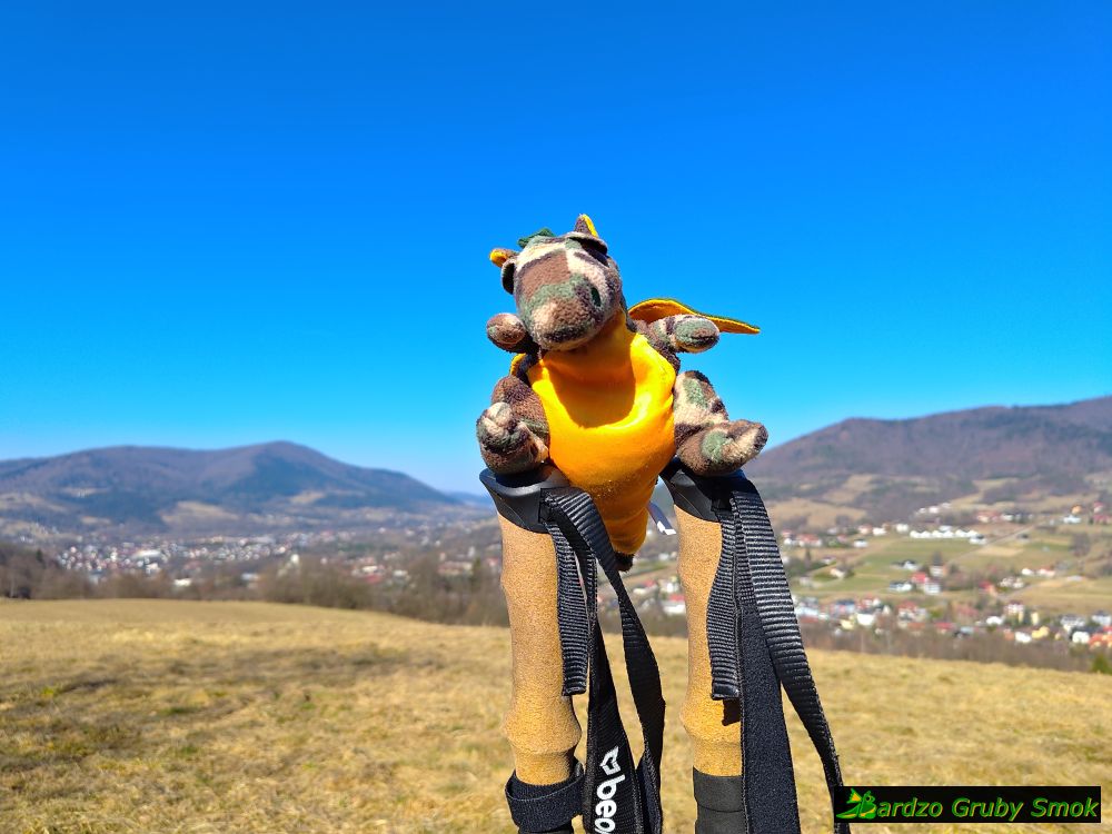 widok z okolic Grunwaldu na Szczebel