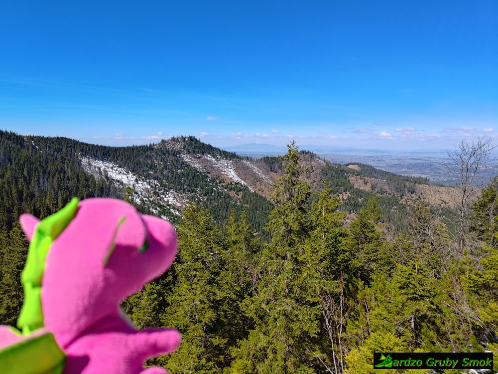 widok na Babią Górę