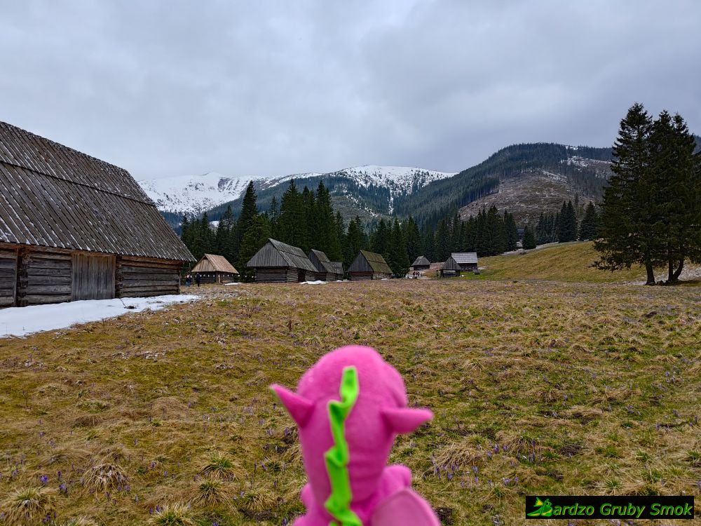 Polana Chochołowska