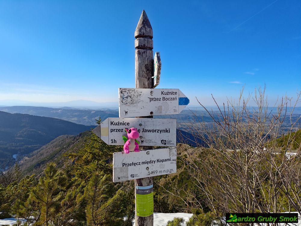 Przełęcz między Kopami