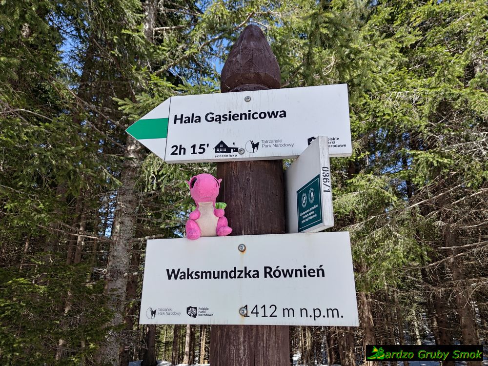 Waksmundzka Rówień