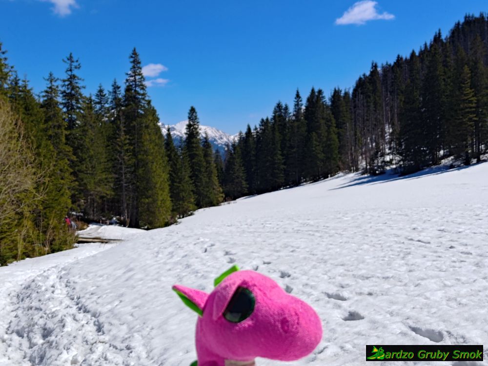 Waksmundzka Rówień