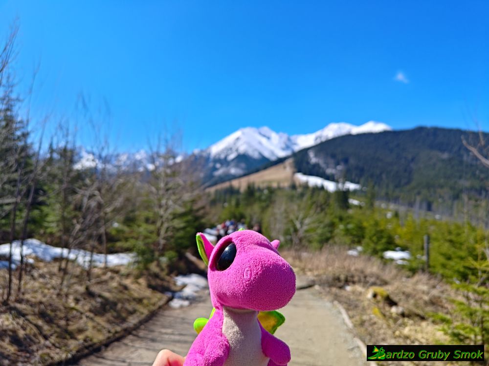 coraz bliżej Rusinowej