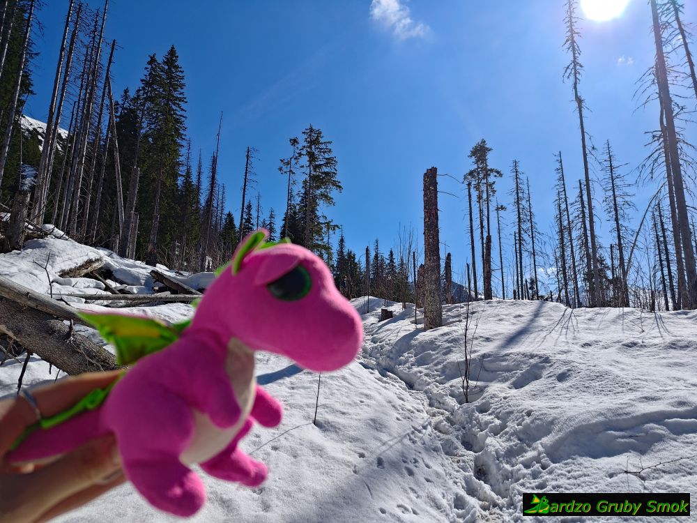 głęboki śnieg na szlaku