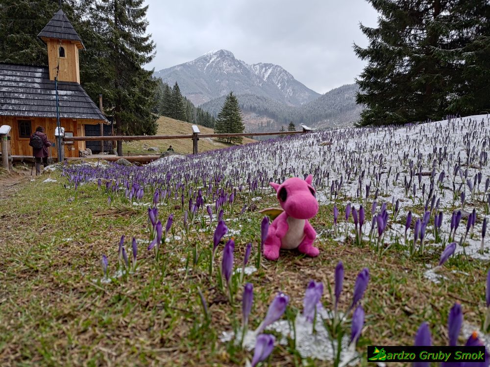 kaplica św. Jana Chrziciela