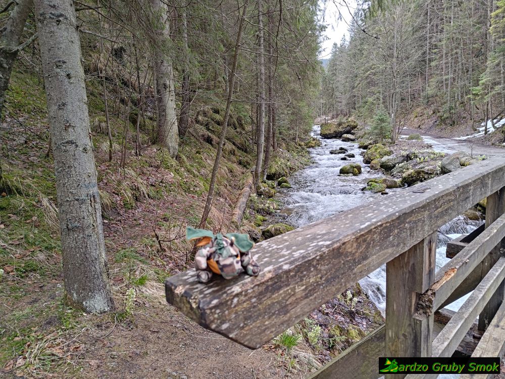 mostek na Olczyskim Potoku