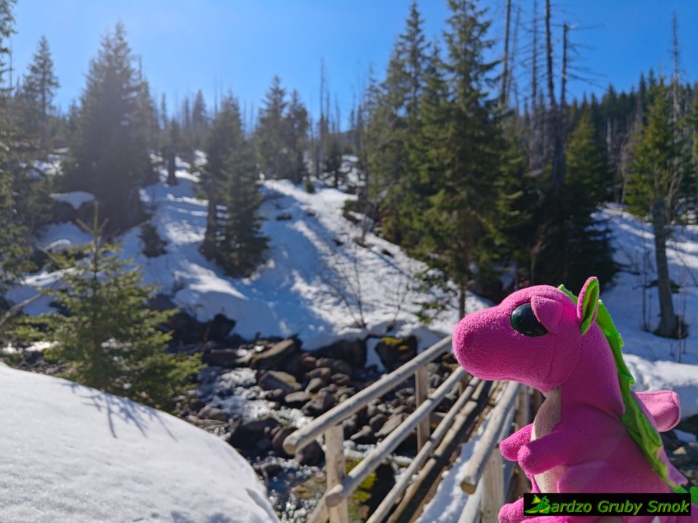 mostek nad Czarnym Potokiem Gąsienicowym