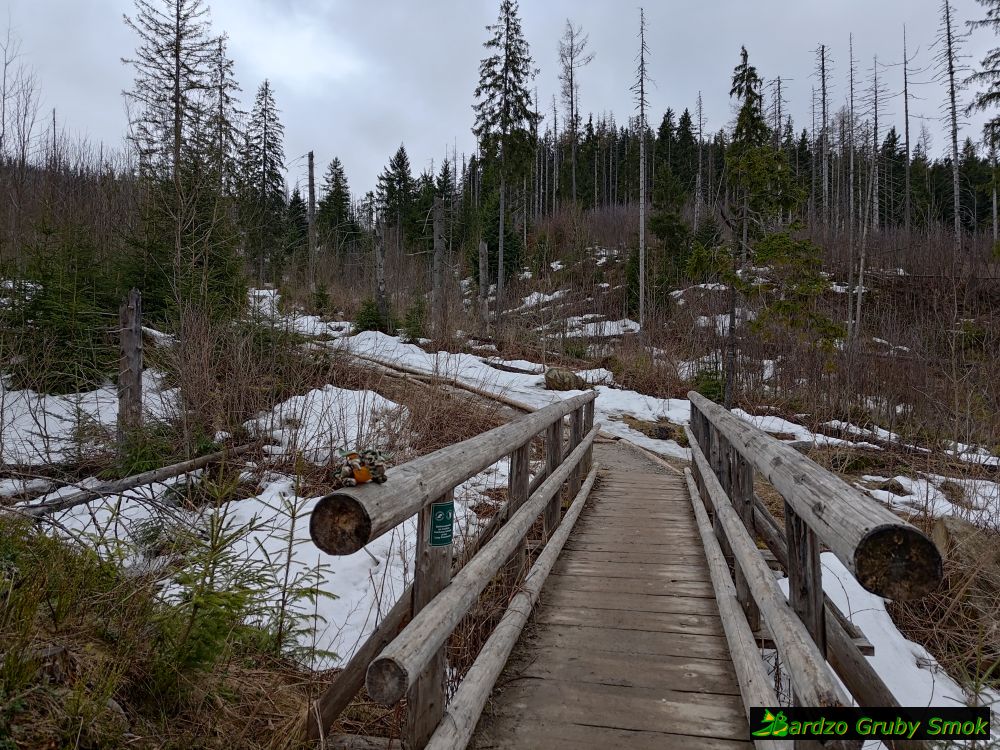 mostek w Dolinie Chłabowskiej