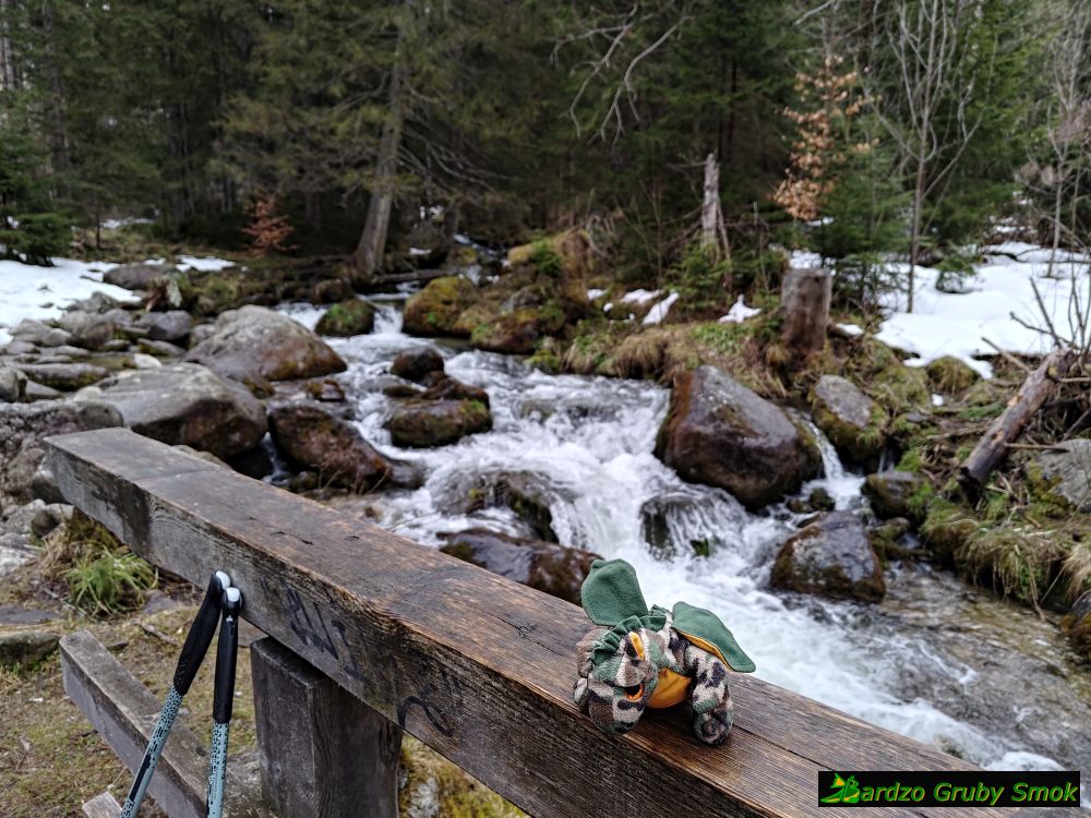 mostek za Polaną Olczyską