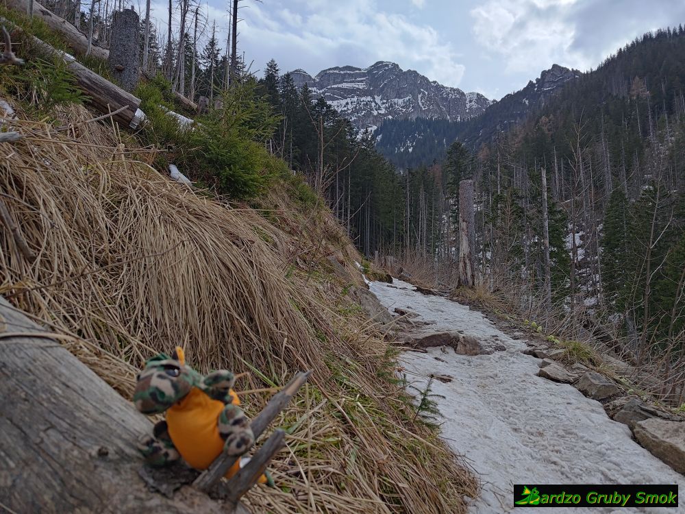 na początku zejścia do Doliny Białego