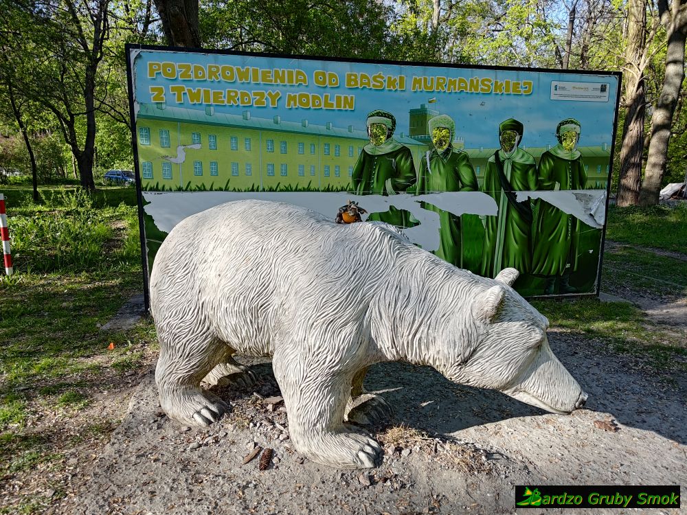 niedźwiedzica Baśka