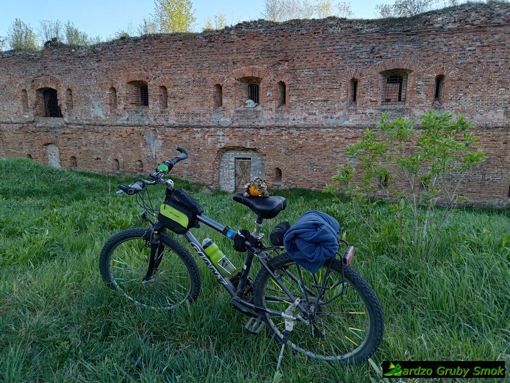 niedźwiedzica Baśka