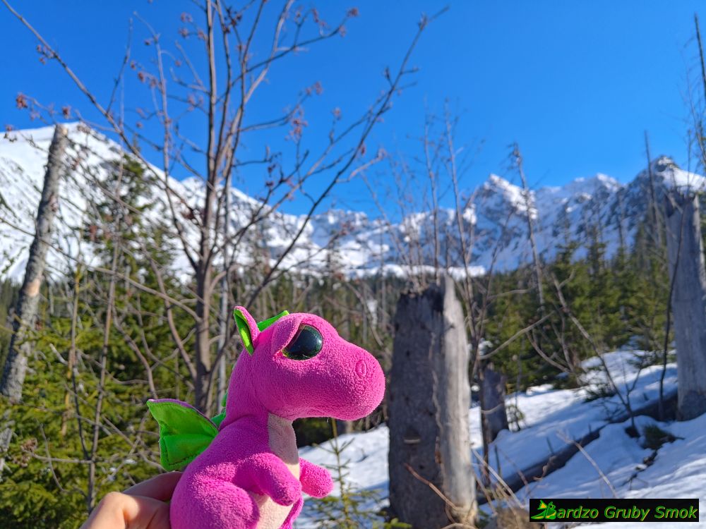 prawie ostatnie podejście