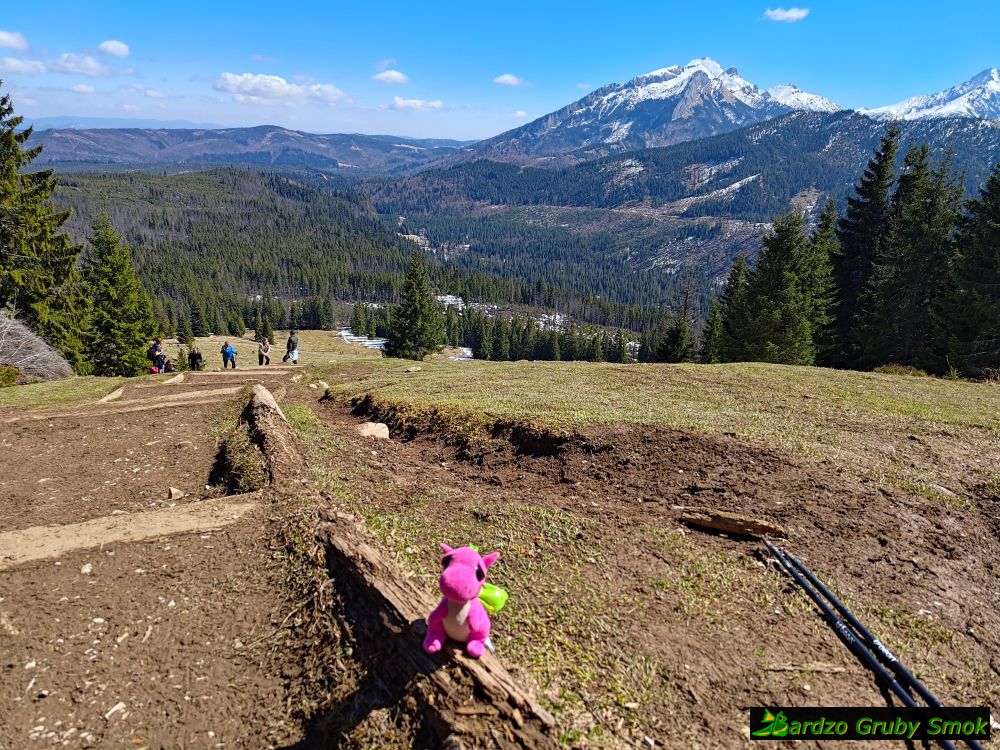 schody na Gęsią Szyję