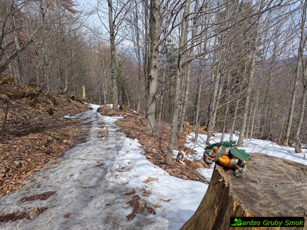 śnieg na Ścieżce nad Reglami
