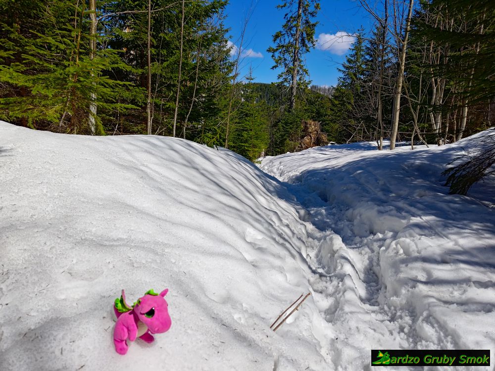 śnieg na szlaku