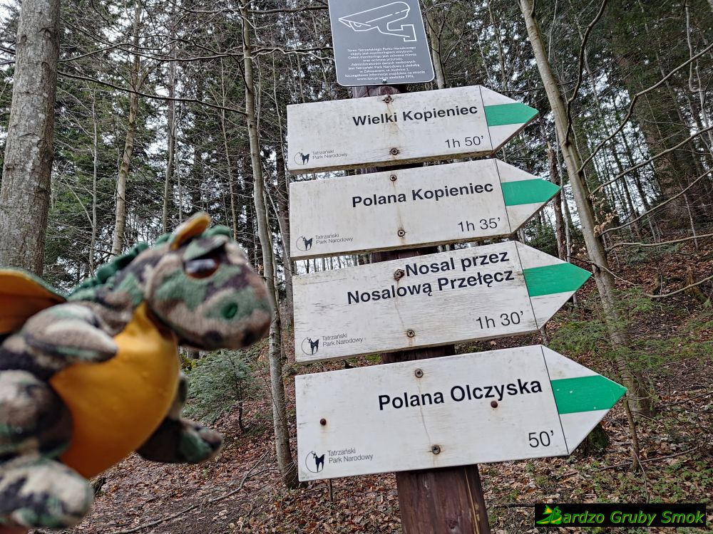 wejście do Dolicy Olczyskiej