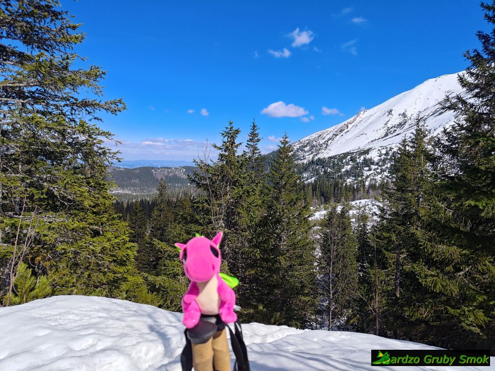 widok na Łasicową Czubkę