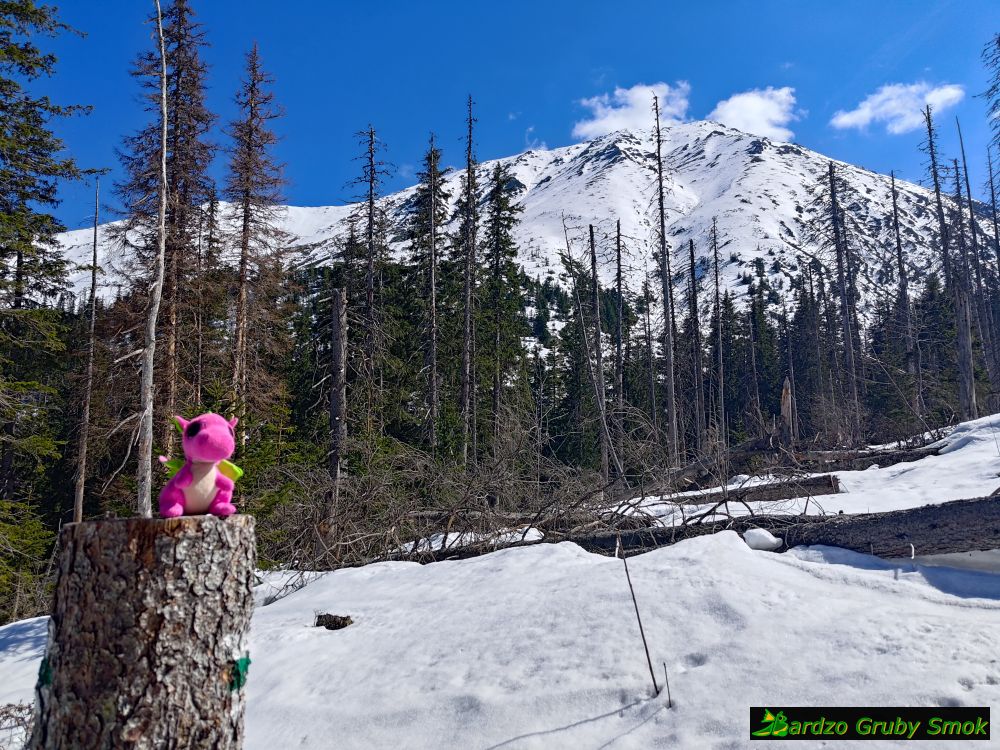 widok na Małą Koszystą