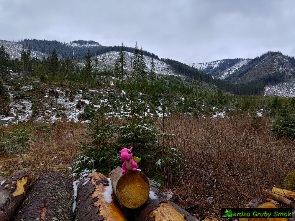 widok na Wielki Kopieniec