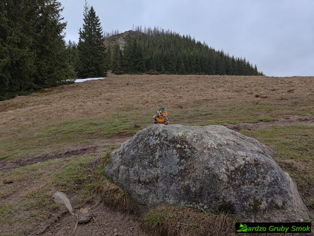 widok na Wielki Kopieniec