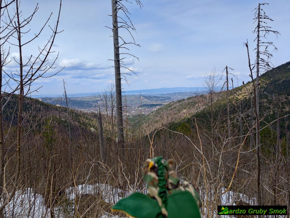 widok na Zakopane