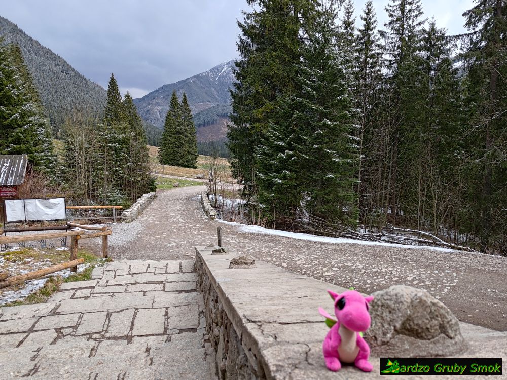 wyjście ze schroniska