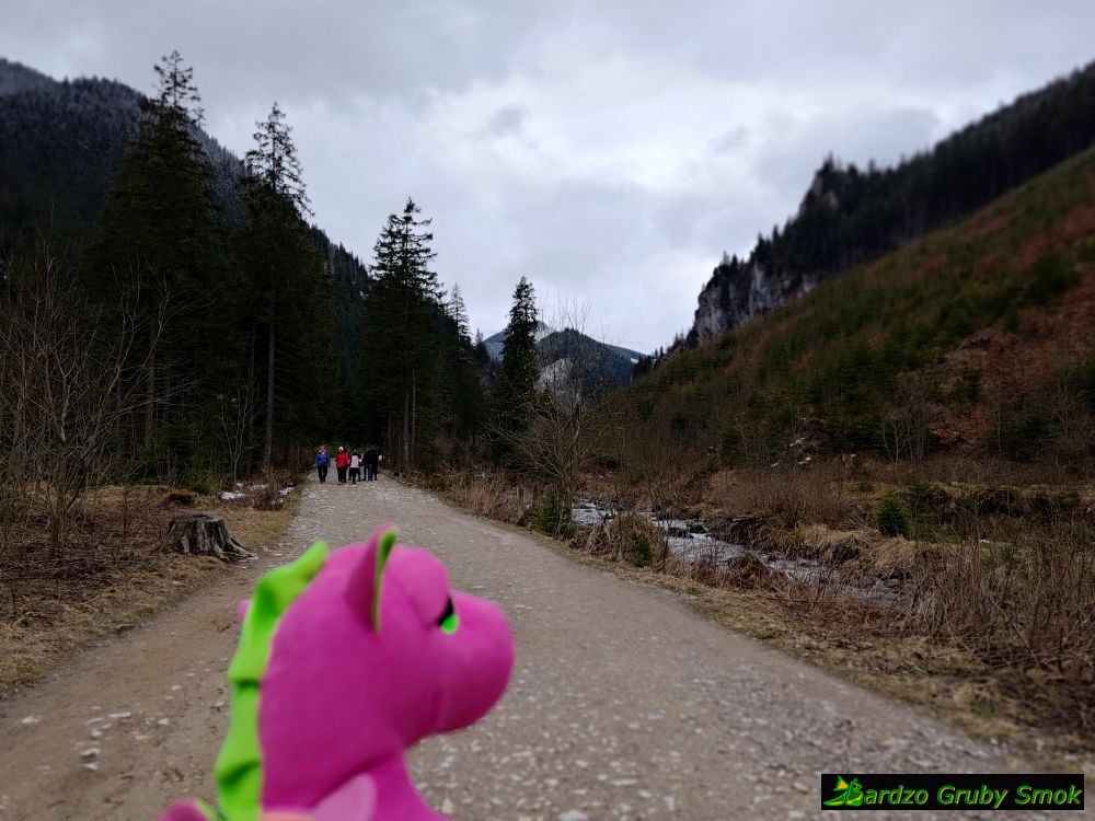 wyłaniają się szczyty