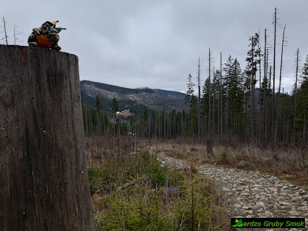 zaczyna się podejście