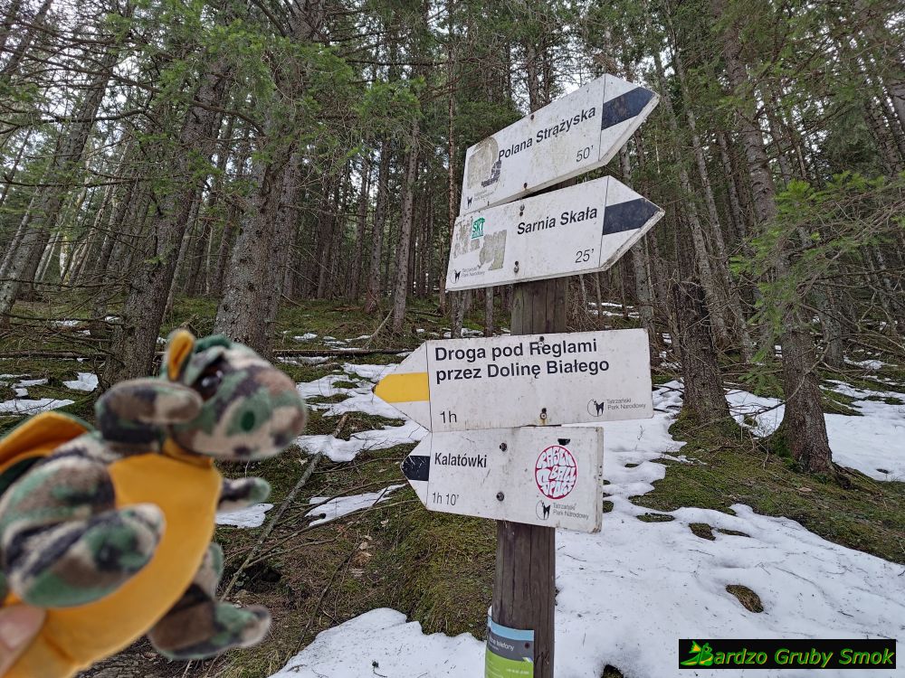 zejście do Doliny Białego