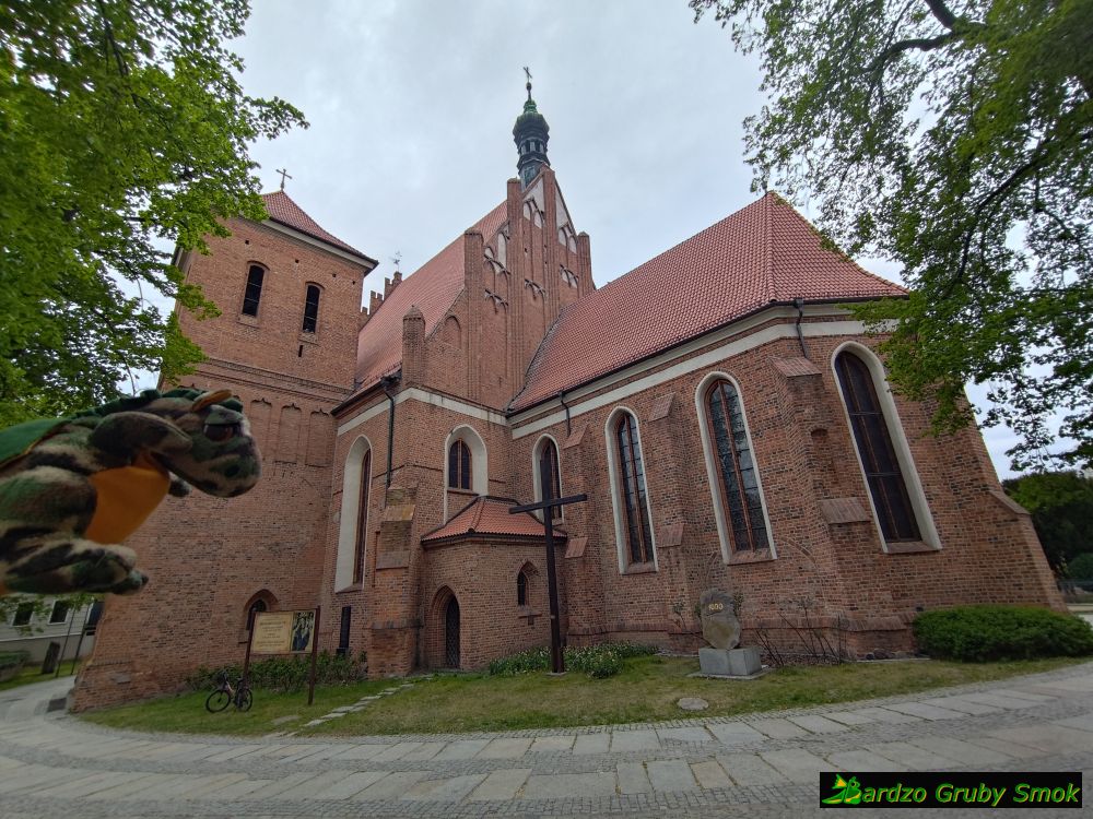 katedra pw. św. Marcina i Mikołaja