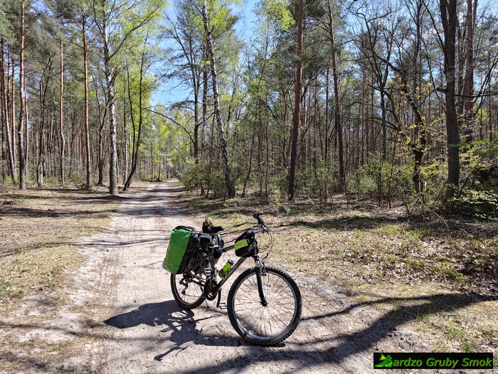 Kampinoski Park Narodowy