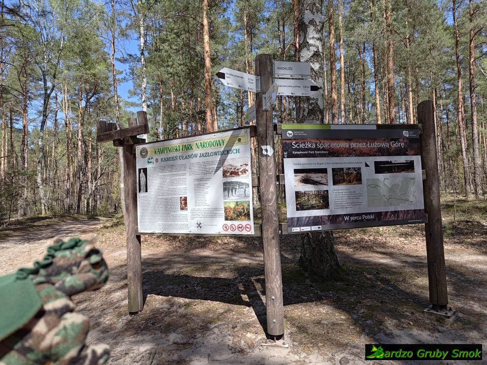 ścieżka spacerowa przez Łużową Górę