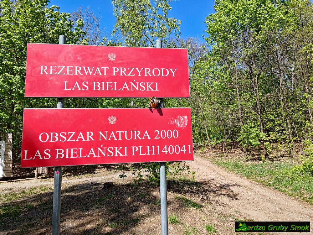 Las Bielański