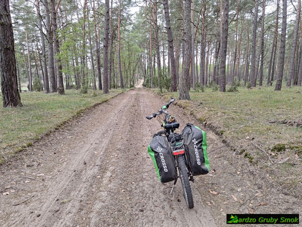 Puszcza Bydgoska