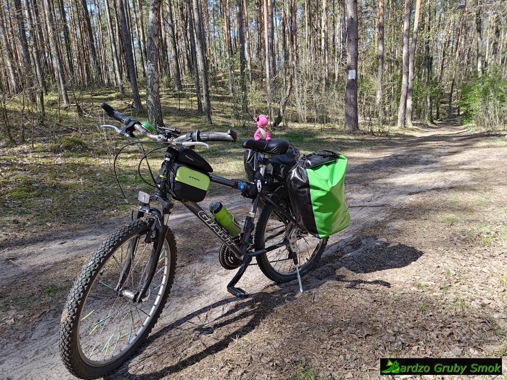 Puszcza Kampinoska