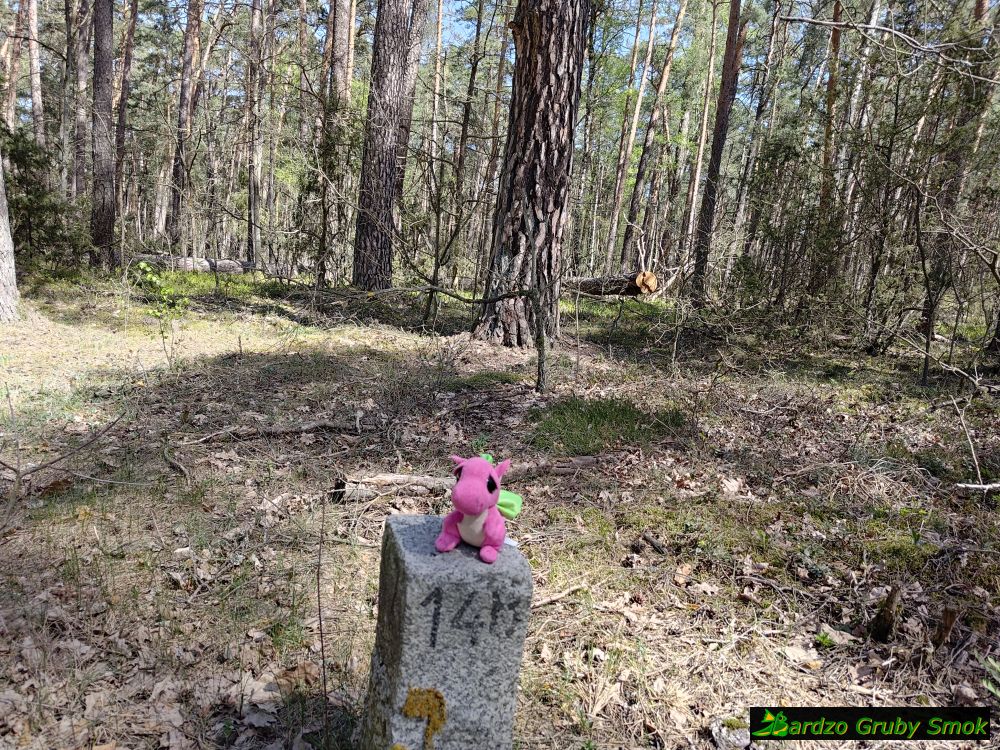 Kaczubały